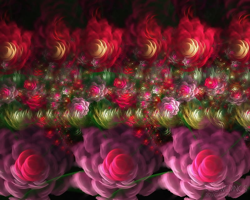 Roses, red, green, rose, texture, flower, abstract, pink, HD wallpaper