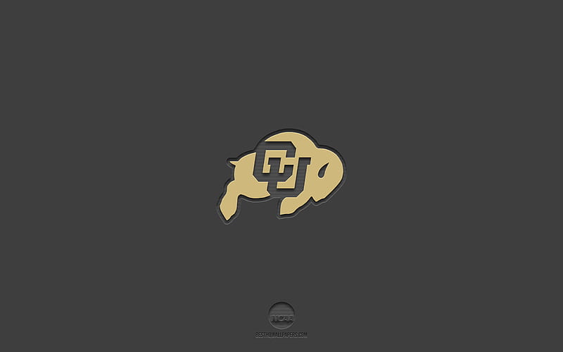 colorado buffaloes logo