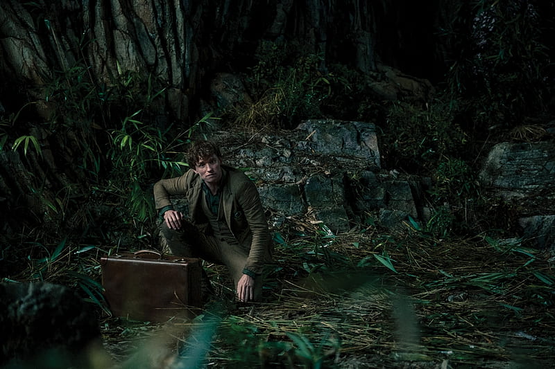 Eddie Redmayne as Newt Scamander Fantastic Beasts 2, HD wallpaper