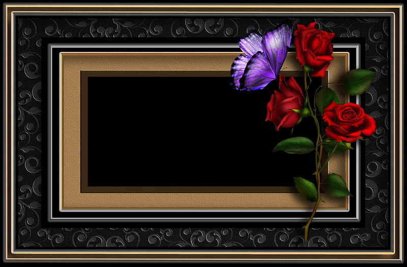 ✫Roses & Butterfly Frame✫, red roses, love four seasons, attractions in dreams, creative pre-made, roses, butterfly, stock , clipart, flowers, beloved valentines, butterfly designs, resources, animals, HD wallpaper