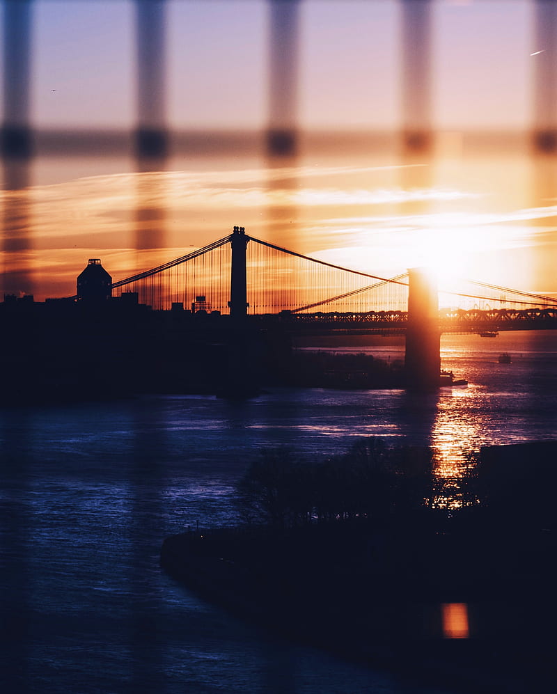 silhouette of Brooklyn and Manhattan Bridges during golden hour, HD phone wallpaper