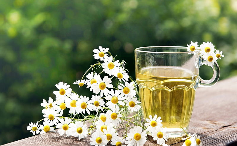 Drink from the Nature, delicious, drinks, tea, graphy, healthy, herbs, flowers, drink, natural, HD wallpaper
