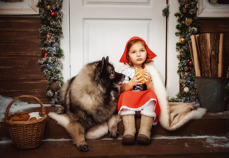 Red Riding Hood and the Bad Wolf, little, craciun, christmas, diana lipkina, creative, red riding hood, cute, tale, girl, basket, copil, child, bad, wolf, dog, HD wallpaper