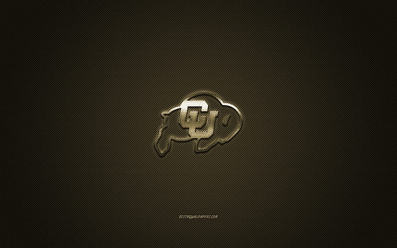 Colorado Buffaloes logo, American football club, NCAA, golden logo, golden carbon fiber background, American football, Boulder, Colorado, USA, Colorado Buffaloes, University of Colorado, HD wallpaper