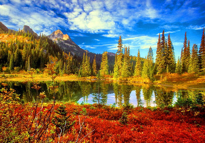 Lovely View, grass, mount, clouds, mountain, splendor, flowers, beauty, reflection, lovely, sky, trees, water, mountains, white, landscape, red, colorful, autumn, breathtaking, bonito, leaves, green, river, blue, forest, lakes, view, rainier, colors, lake, daylight, plants, autumn colors, peaceful, day, nature, HD wallpaper