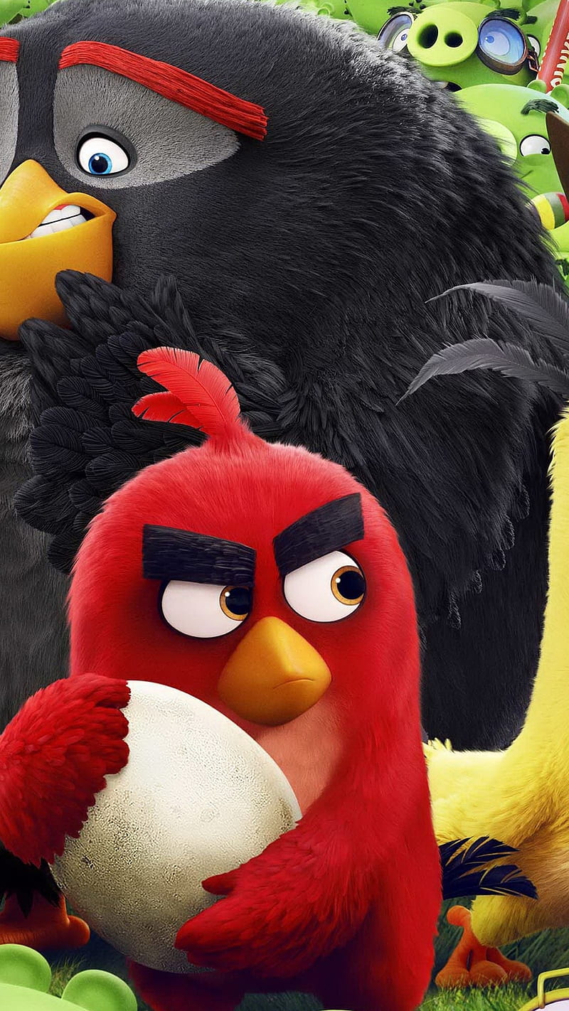 Angry bird , 2019 birds, black, cartoons movies, yellow, HD phone wallpaper