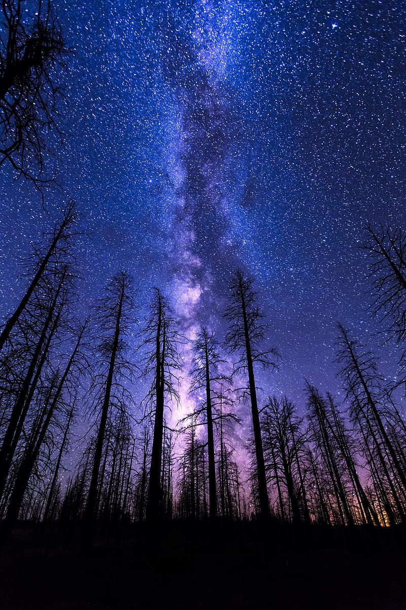 Milky way, galaxy, landscape, lights, night, sky, HD phone wallpaper |  Peakpx