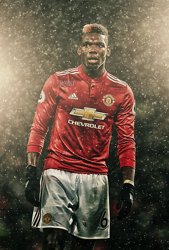 Pogba For Computer, Paul Pogba France HD wallpaper | Pxfuel