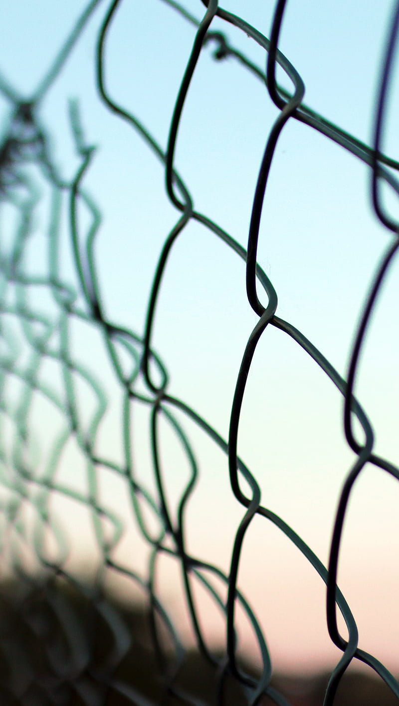 fence obstacle, mesh, netting, wire, HD phone wallpaper
