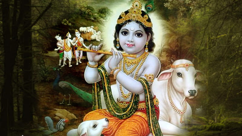 Krishna With Flute In Decorated Cow Background Krishna, HD wallpaper |  Peakpx