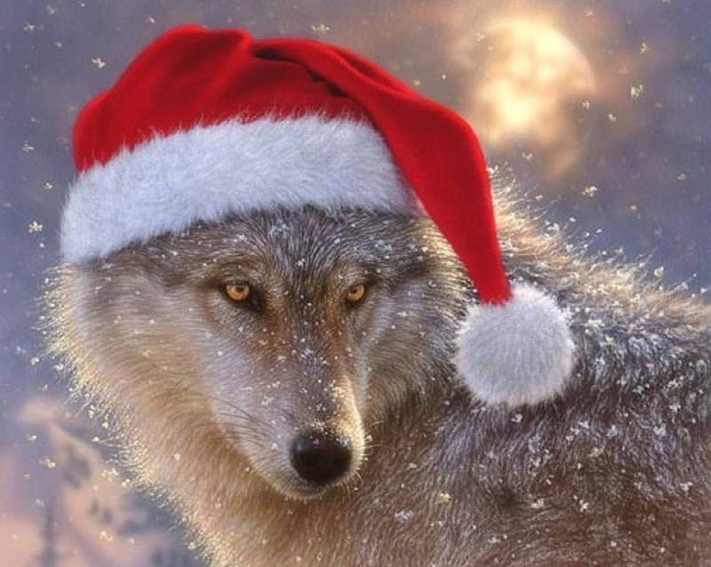 Christmas Wolf, moons, Christmas, holidays, New Year, love four seasons, xmas and new year, winter, hat, snow, wolf, wolves, animals, HD wallpaper
