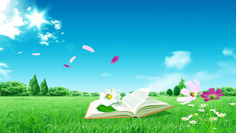 Spring field, colorful, lovely, book, spring, lower, green, flowers, nature, fields, landscape, blue, HD wallpaper