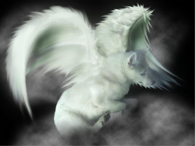 anime white wolf with wings