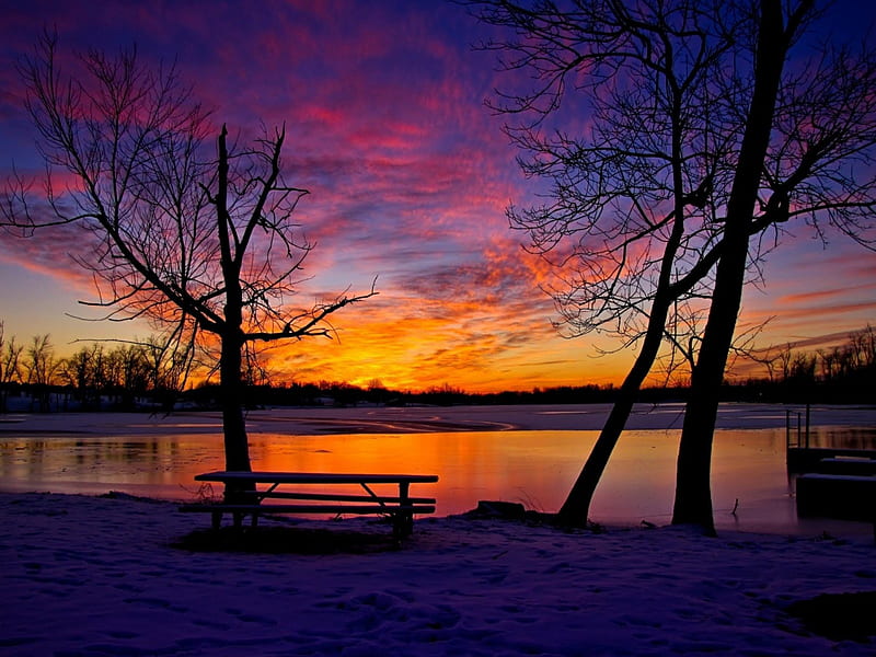 Winter Sunset sun, orange, high definition, dusk, yellow, colurs, sunset, clouds, snowy, afternoon, nice, gold, multicolor creeks, beauty, sunrise, evening, rivers, islands, , dawn, golden, black, park, sky, trees, winter, cool, snow, purple, awesome, violet, hop, white, colorful gray, ambar, bonito, twilight, seasons, trunks, cold graphy, amber, manipulated, pink, blue amazing, horizon, lakes, view, magenta, bench, colors, pond, branches, frozen, coast, HD wallpaper