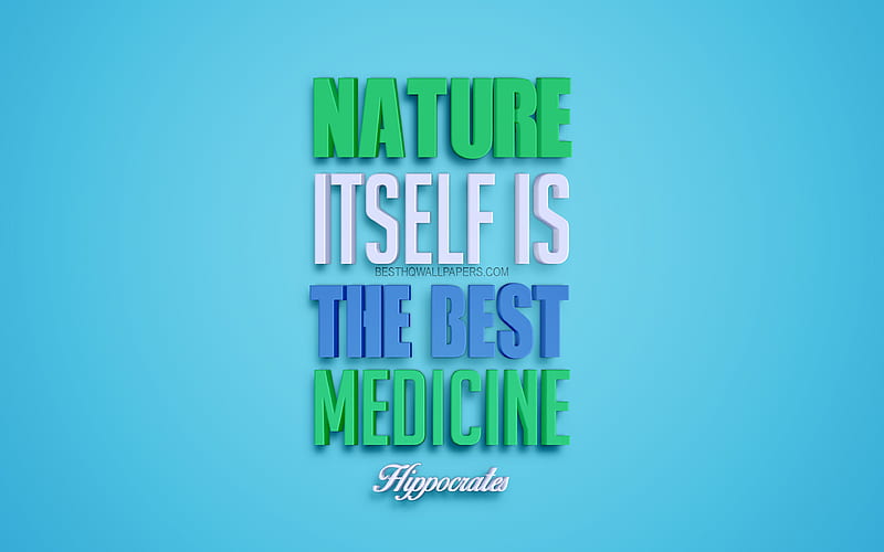 Nature itself is the best medicine, Hippocrates quotes quotes about medicine, 3d art, green background, popular quotes, HD wallpaper