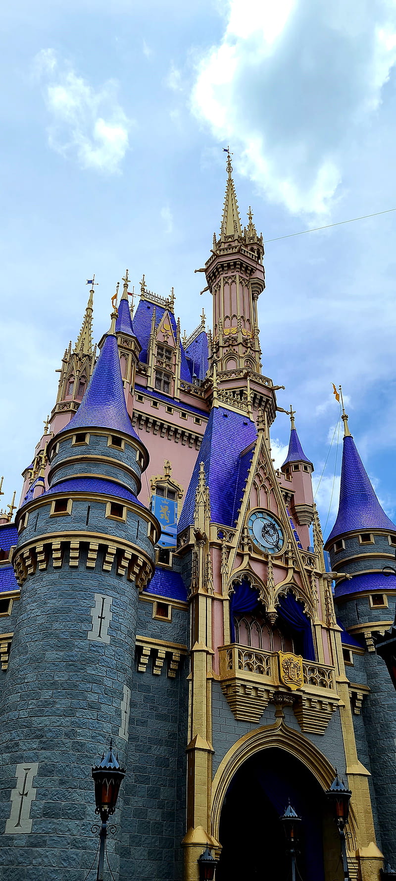 Walt Disney World, castle, walt disney world, HD phone wallpaper | Peakpx