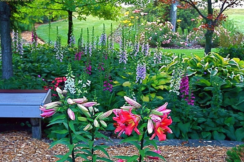 Garden In Spring, grass, rose bushes, bench, lilies, foxglove, park, trees, delphiniums, green, summer, flowers, gardens, nature, HD wallpaper