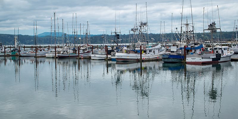 Boats, ships, bay, pier, HD wallpaper | Peakpx