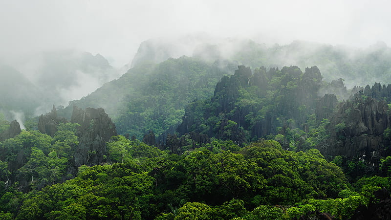 Earth, Fog, Forest, Laos, Mountain, Rock, Vegetation, HD wallpaper