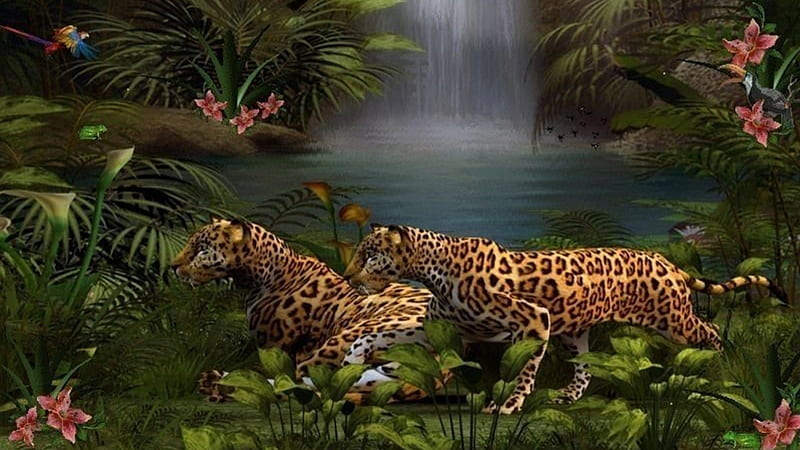 Dangerous Beauty, leopard, art, grass, tiger, parrot, sky, lion, plants,  jungle, HD wallpaper | Peakpx
