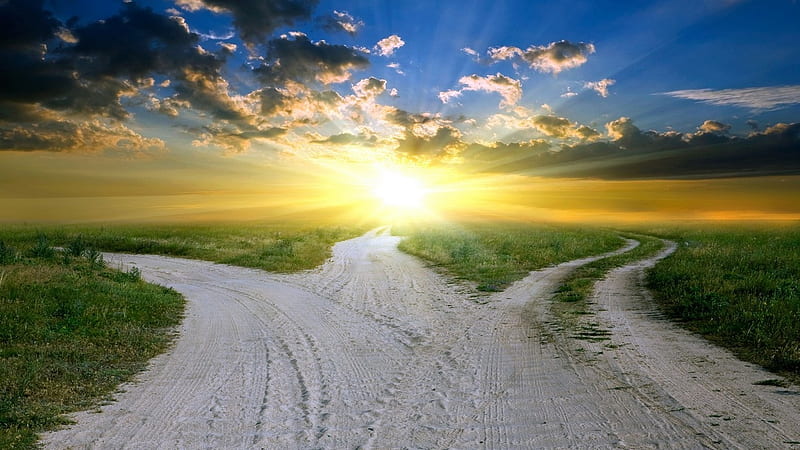 Path to the Light, grass, golden, three, mud, bonito, sky, pathway, sunshine, light, HD wallpaper