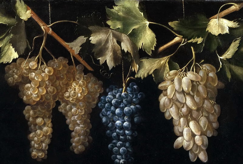 Four Bunches of Grapes, art, autumn, black, yellow, juan fernandez el labrador, fruit, grapes, painting, pictura, blue, HD wallpaper