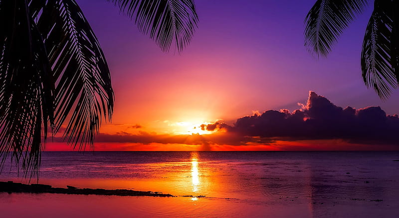 Tropical sunset, ocean, island, sunset, tropics, sea, sands, exotic ...