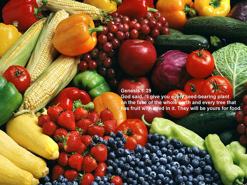 fruits and vegetables, christianity, veg, food, christian, fruits, genesis, vegetarian, vegetable, vegan, HD wallpaper