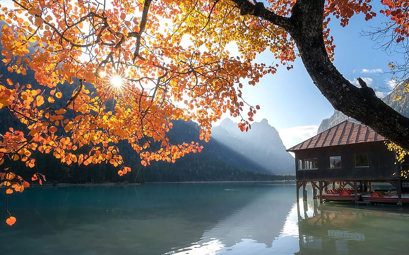 By Lake, tree, rowboats, mountains, lake, autumn, HD wallpaper