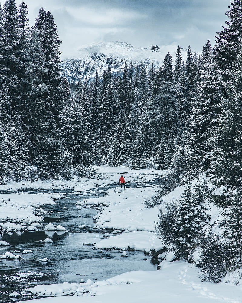 man, winter, river, snow, trees, HD phone wallpaper