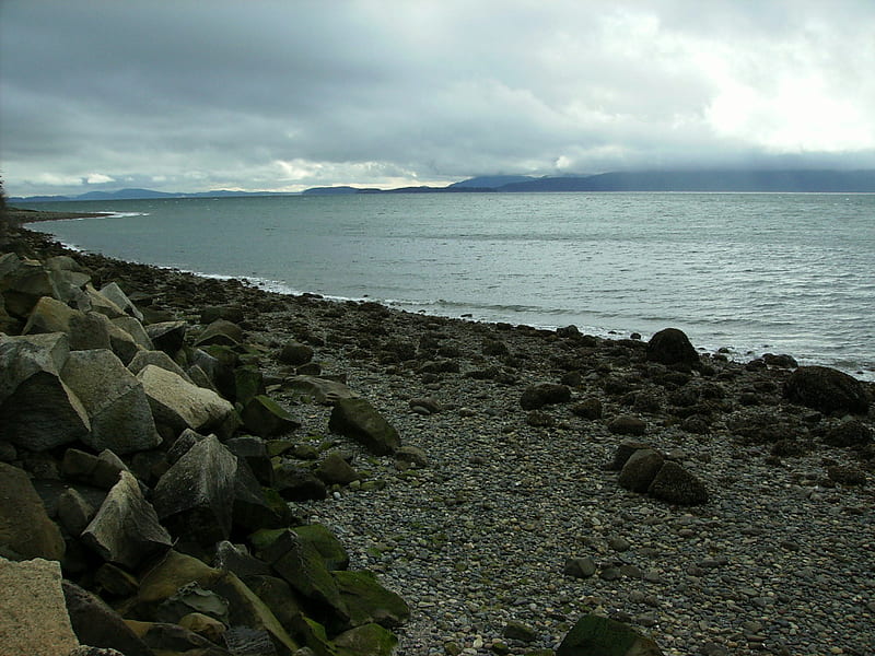Washington Coastline, beach, gray, pacific northwest, washington, coast, HD wallpaper