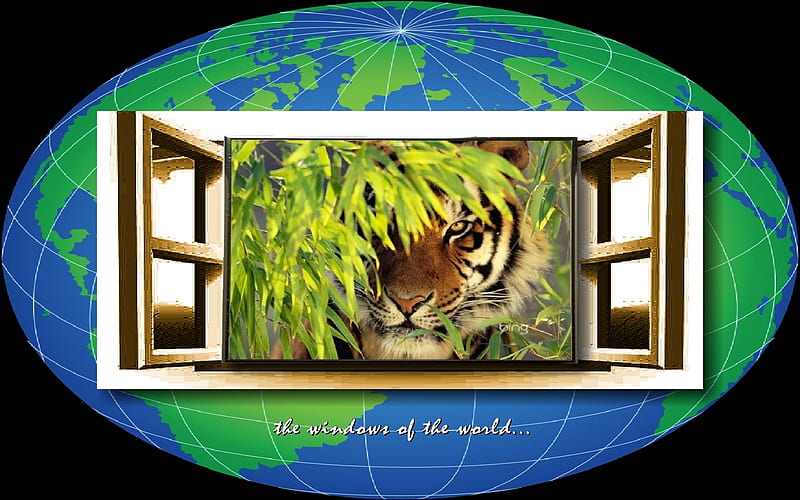 Windows of the World 5, stately, tigers, peekaboo, forests, HD wallpaper