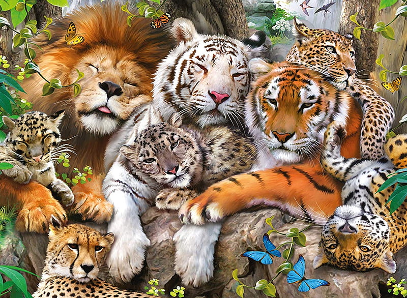 Big cats, leu, tiger, tigru, white, animal, lion, leopard, cheetah, sleep, luminos, fantasy, HD wallpaper