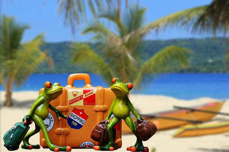 :-), vacation, luggage, orange, travel, frog, beach, green, couple, palm tree, HD wallpaper