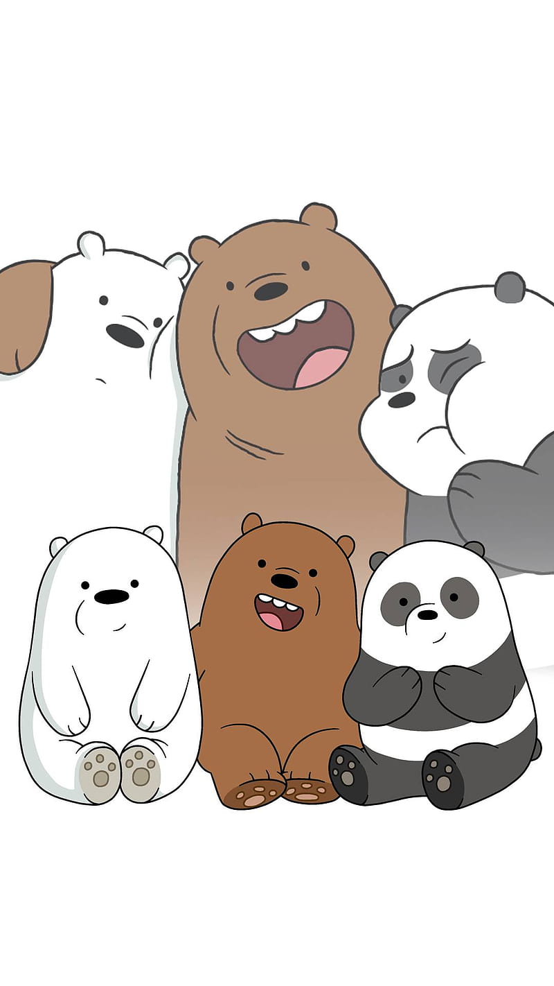 Panda Escandaloso, oso, pardo, polar, HD phone wallpaper | Peakpx