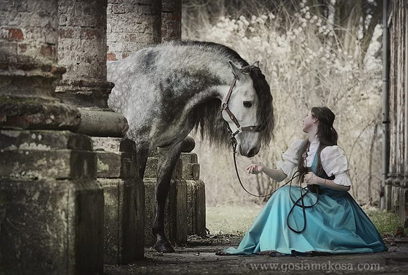 The Horse & The Maiden, gris, andalusian, horses, maiden, spanish, HD wallpaper
