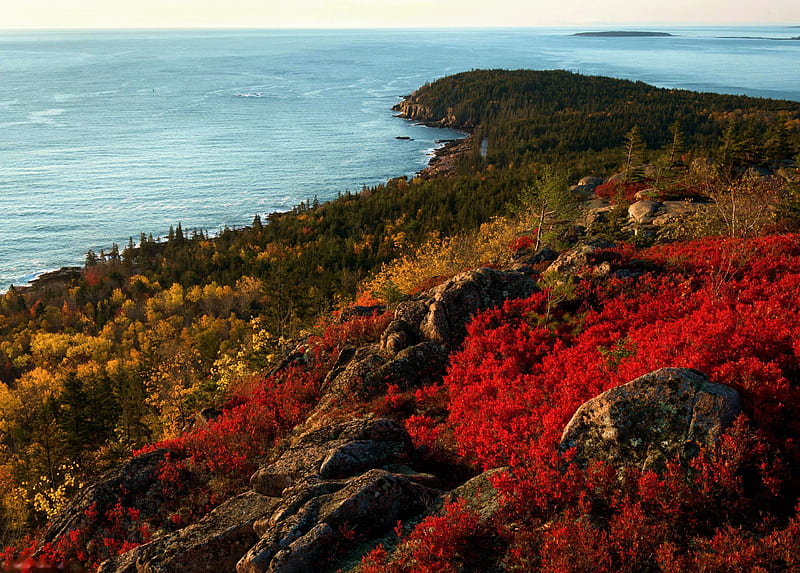 Acadia National Park, Bar Harbor, Maine, colors, autumn, coast, sea, rocks, HD wallpaper