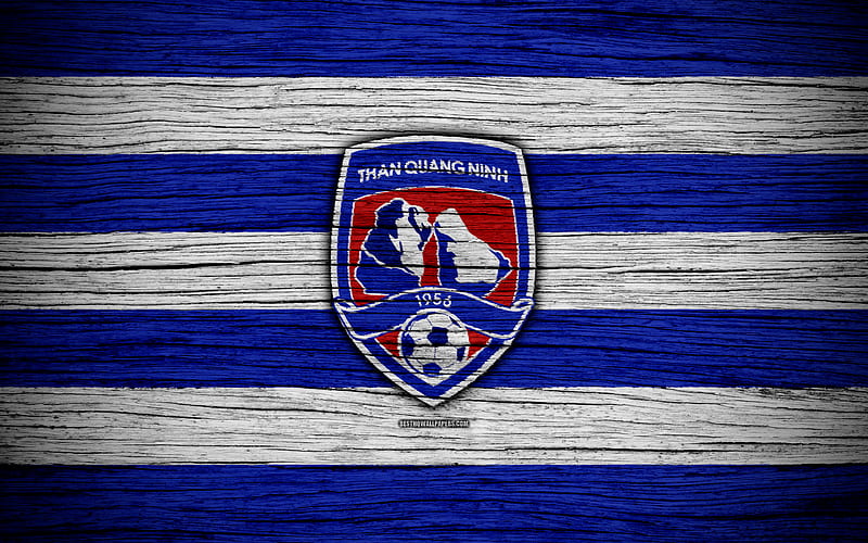 Than Quang Ninh FC logo, V League 1, soccer, Vietnam, football club, Asia, Than Quang Ninh, wooden texture, FC Than Quang Ninh, HD wallpaper