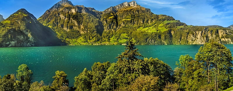 Lake Lucerne, Panorama, Alps, forest, house, bonito, Switzerland, trees, panorama, waters, green, mountains, summer, road, HD wallpaper