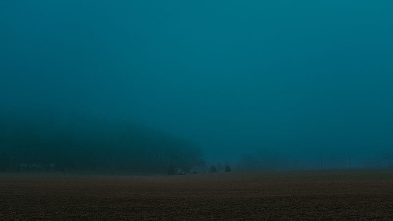 empty field during foggy weather, HD wallpaper
