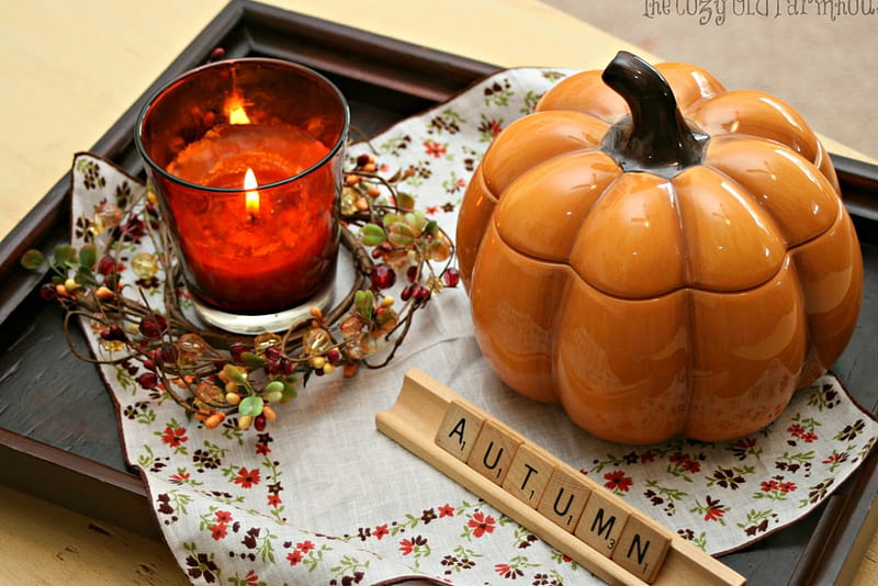 Cozy Autumn, candle, fall, autumn, halloween, home decor, word, pumpkin, love, siempre, HD wallpaper