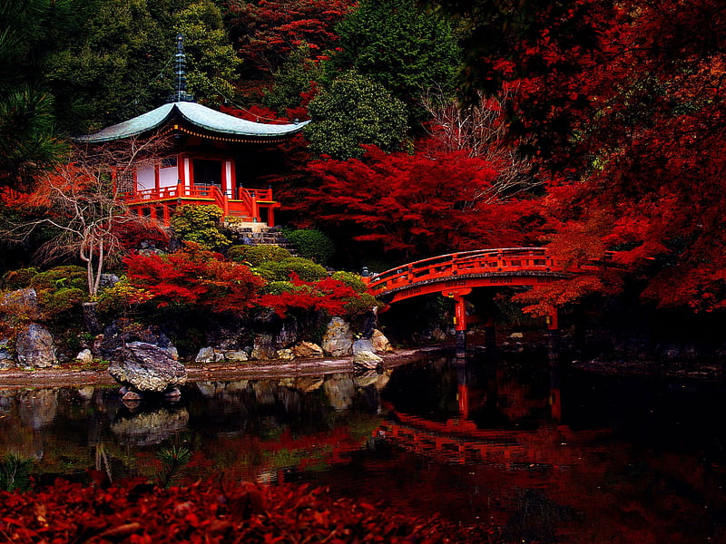 Autumn-japanese-garden, Toamna, minunat, Japonia, din, HD wallpaper