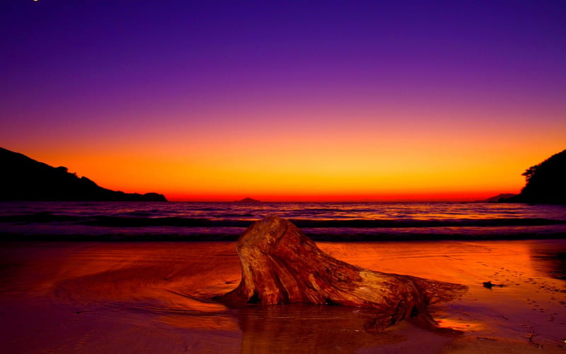 FABULOUS SUNSET, beach, sunset, nature, stump, HD wallpaper