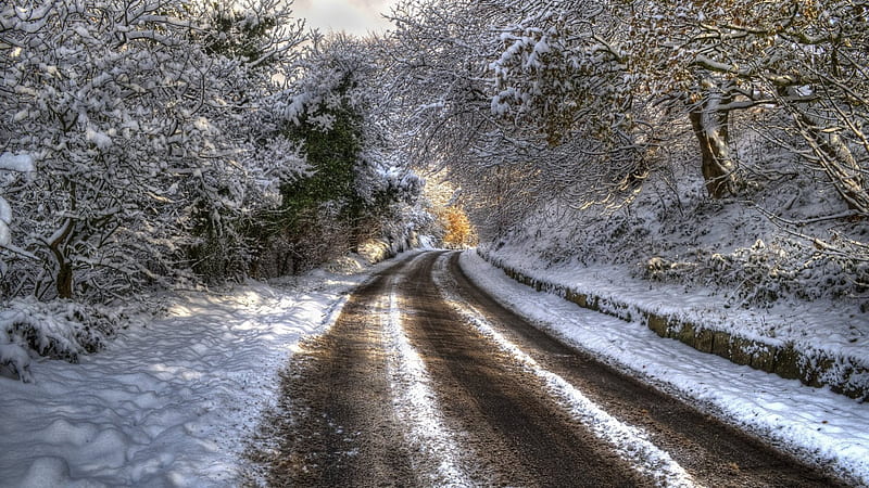 A Drive through Snowland, nature, roads, snow, winter, HD wallpaper