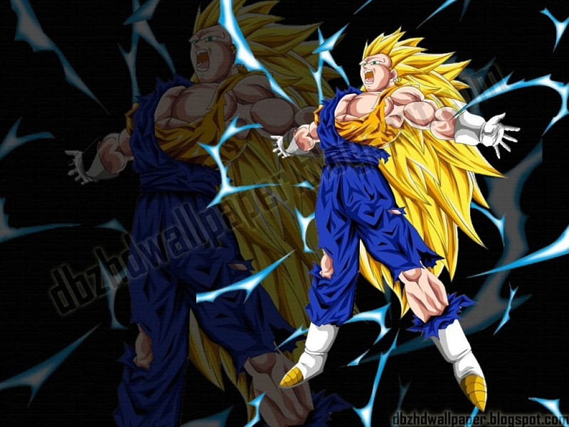 Pokemon SSJ5 broly 3