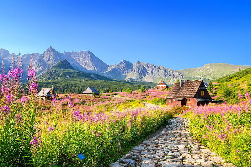 Tatras chalets, hills, vacation, bonito, spring, sky, que, mountain, wildflowers, Poland, path, peaceful, walk, chalets, landscape, Tatras, meadow, HD wallpaper