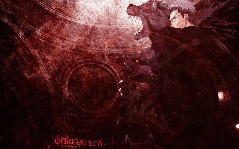 Unleash Hell !!, red, tsukihime, game, black, darkness, anime, beast, wolf, chaos, HD wallpaper
