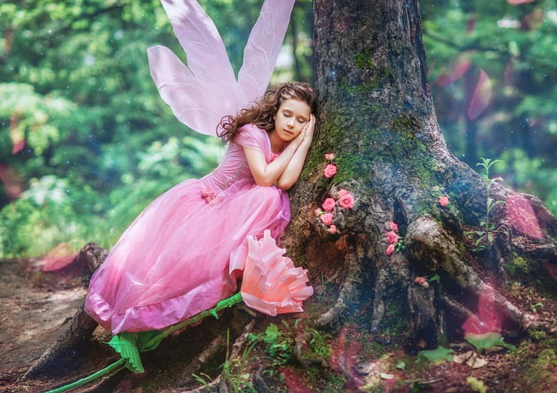 Girl, forest, sleeping, fairy, HD wallpaper