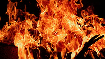 Fire, flame, branches, bonfire, HD phone wallpaper | Peakpx