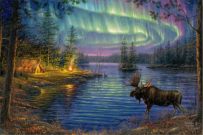 Northern Night, forest, moose, tent, campfire, trees, lake, artwork, wilderness, painting, aurora borealis, HD wallpaper